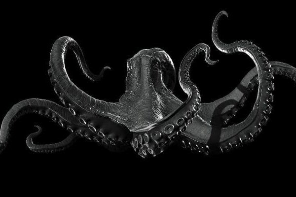 Kraken official