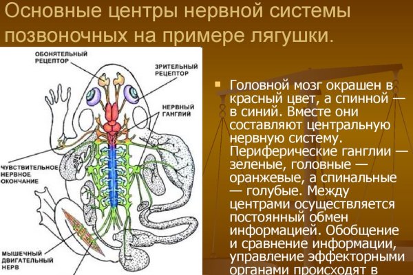 Какой кракен сейчас работает